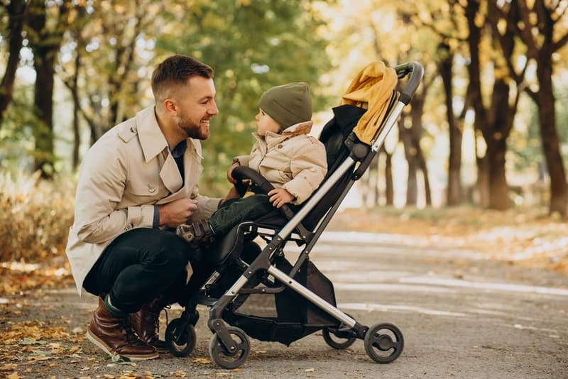 Luxury Baby Stroller